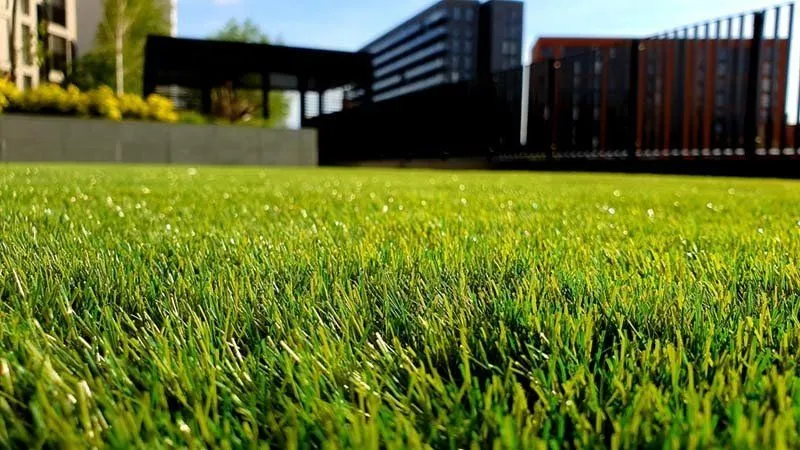 cut-green-lawn-1920w